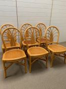 Six Kingsway cane chairs