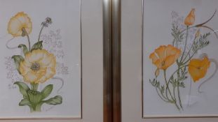A pair of watercolours signed: 'Gina Stobart', framed and glazed, (31x22 cm). (2)