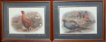 A pair of prints depicting pheasants (14x19 cm). (2)