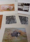 A group of 5 mounted prints depicting farm animals, (15x22.5 cm largest). (5)