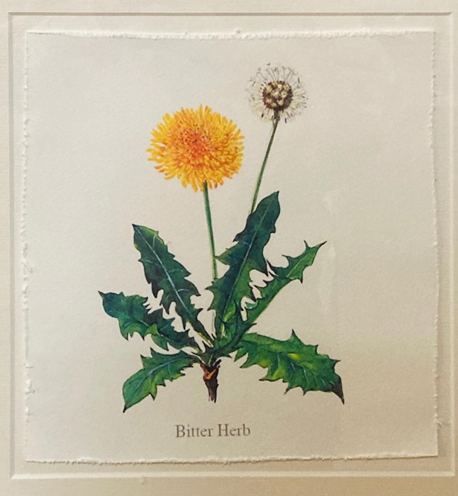 A 21st century English school, "Bitter Herb", colour lithography, glazed and within a gilded - Image 2 of 2