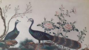 A group of four Chinese paintings of birds, framed and glazed (19x31 cm). (4)