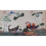 A group of four Chinese paintings of birds, framed and glazed (19x31 cm). (4)