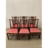 Six Georgian mahogany dining chairs