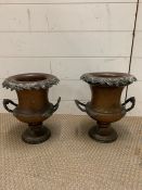 A Pair of Georgian Champagne Buckets