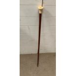 An unusual walking stick