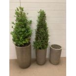 A set of three garden planters (50cm H x 25 cm dia for largest)