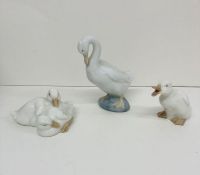 Three Nao swans and ducks