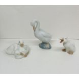 Three Nao swans and ducks