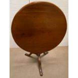 A circular mahogany tilt top table on a turned column and three splayed legs (H 68 cm x Diameter