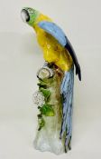 Sitzendorf porcelain parrot (H32cm)