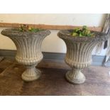 A pair of reclaimed pedestal garden urn planters (H70cm W60cm)