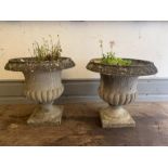 A pair of salvage Medici shape vase garden planters (H43cm Dia 45cm)