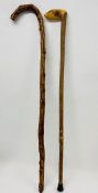 Two walking sticks