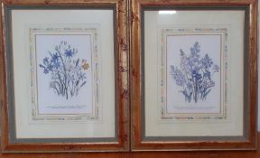 A pair of prints in a glided frame, (19x12.5 cm). (2)