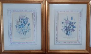 A pair of prints in a glided frame, (19x12.5 cm). (2)