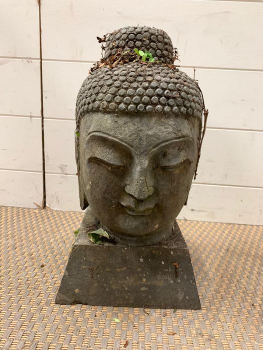 A stone buddha head (H40cm)