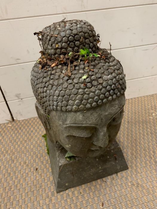A stone buddha head (H40cm) - Image 2 of 5