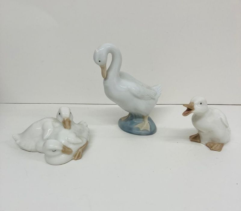 Three Nao, swans and ducks