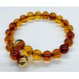 An Amber bracelet with gold setting and a safety chain