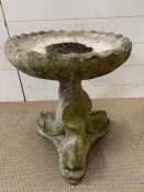 A dolphin themed bird bath