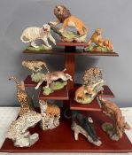 The Franklin Mint National wildlife Foundation Big Cats of the World figure set on display stand