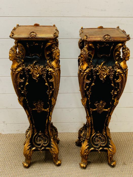 A pair of Italian gilt and ebony style lamp stands or plinths (H84cm Sq24cm)