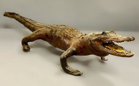 A Victorian Taxidermy crocodile