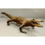 A Victorian Taxidermy crocodile