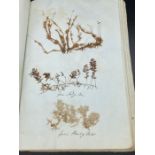 A pressed flower book, dated 1846