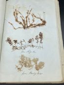 A pressed flower book, dated 1846