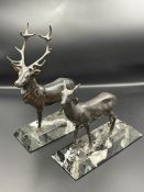 A Pair of Bronze deer, stag and doe, set on marble plinths