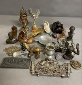 A large selection of curios
