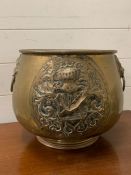 A brass coal bucket with crest to front and lion head ring handles to side (H30cm W35cm)