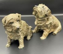 Belinda Sillars (b.1961) A Pair of bronze Norfolk Terriers, signed