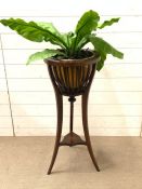 An Edwardian mahogany jardinière, with open slatted sides brass container (H92cm) with splayed Tri