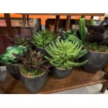 Seven faux succulent plants in metal pots