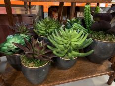 Seven faux succulent plants in metal pots