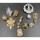 A small selection of military insignia