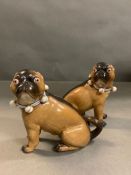 A pair of china pugs by Conta and Boehme Germany (H12cm)