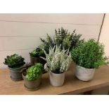 Six faux succulent plants in ceramic pots