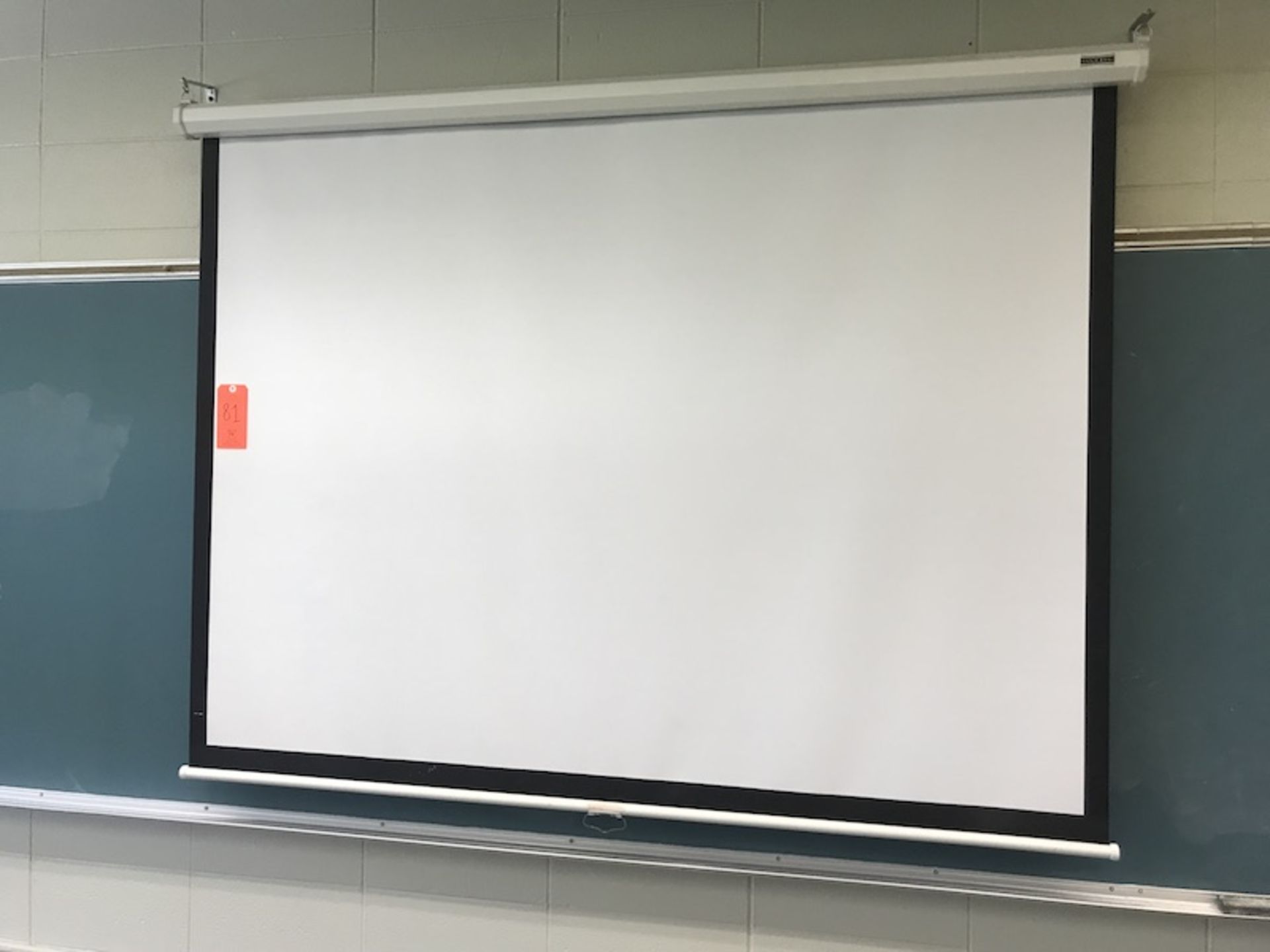 Projection Screen (Room 202)