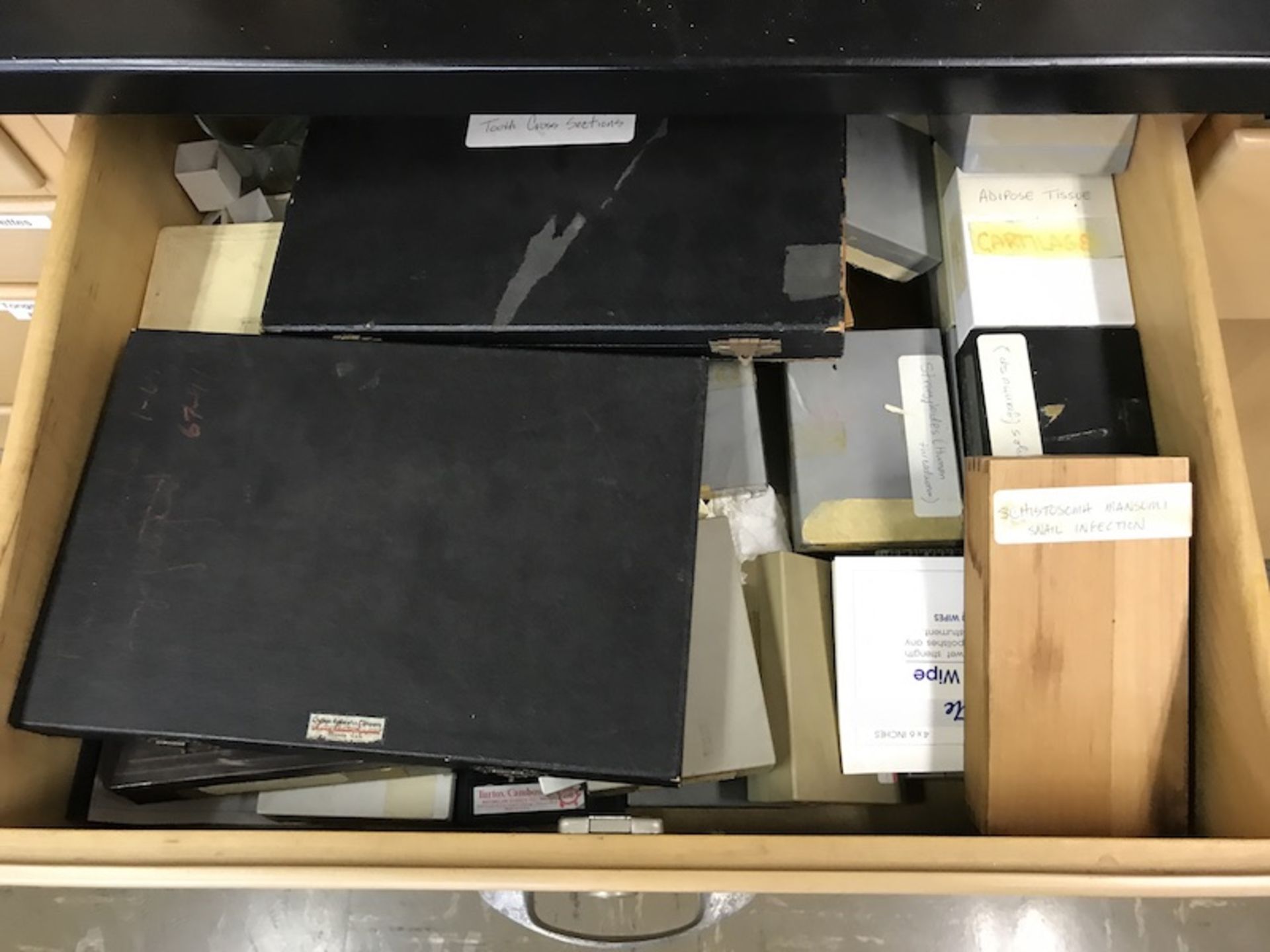Contents of Science Cabinet (No Chemicals Included) (Room 408) - Image 2 of 5