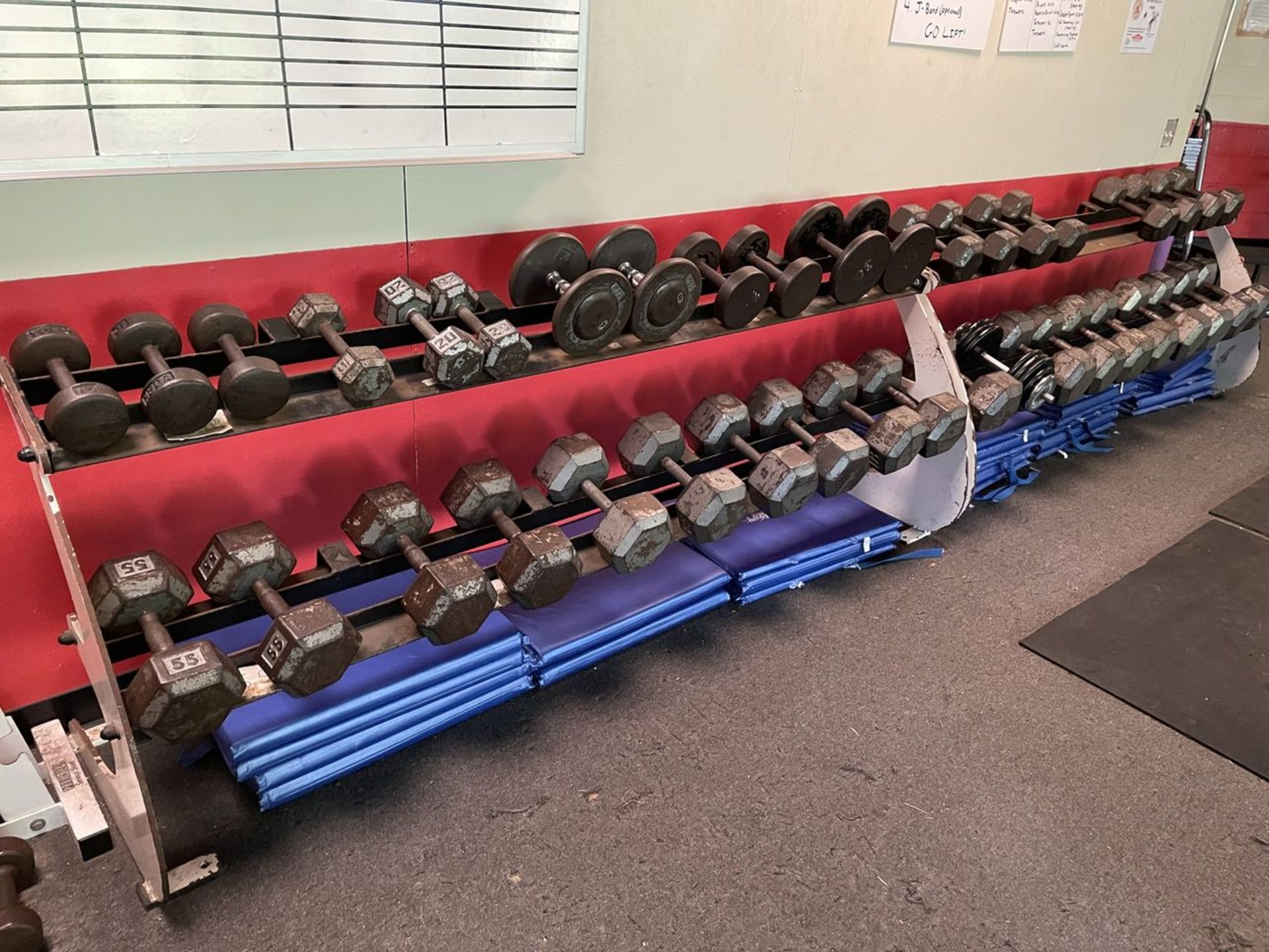 Lot - (50) 5 lb. to 100 lb. Dumb Bells with (3) Racks (Weight Room 105)