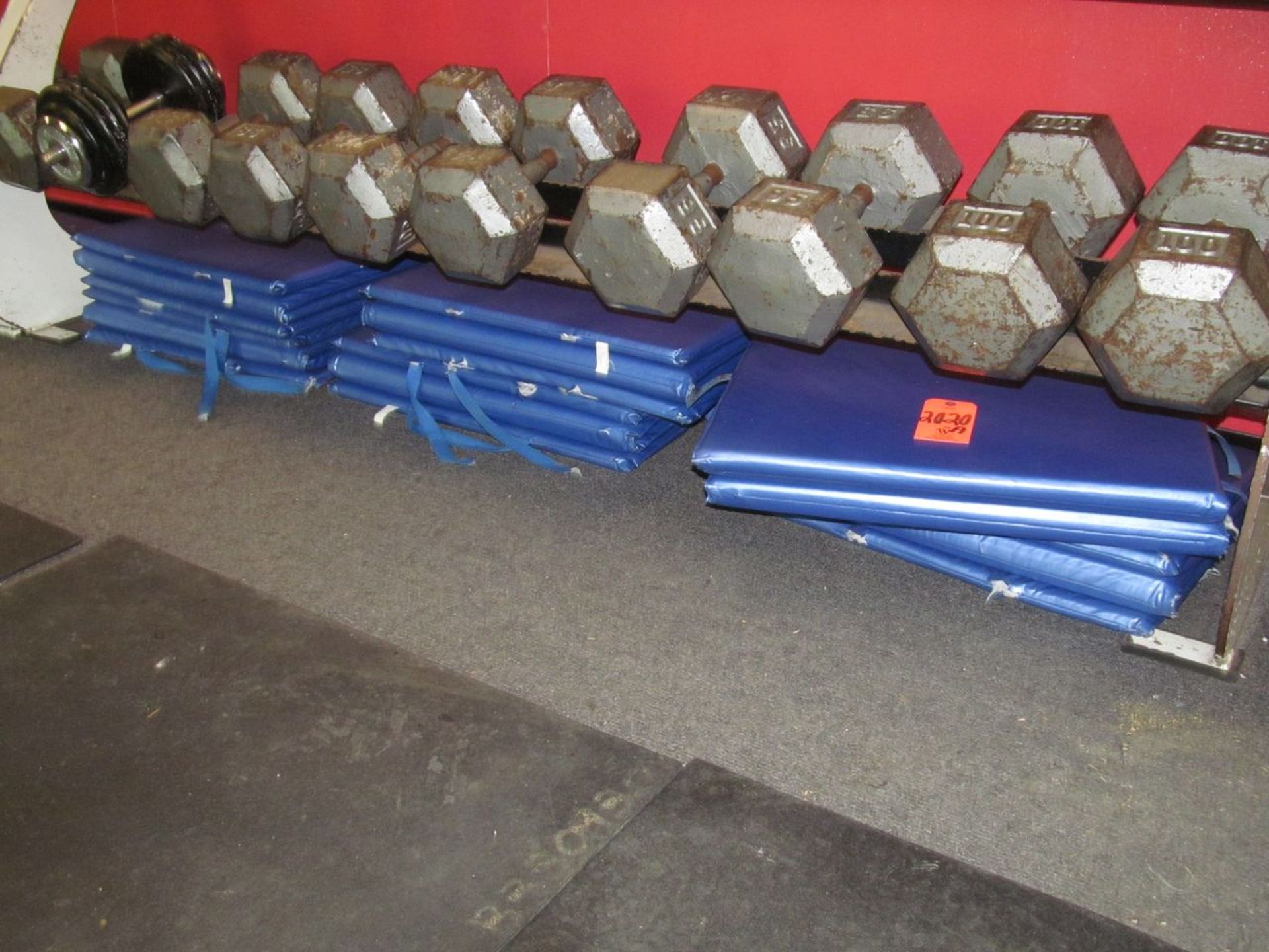 Lot - (12) Exercise Mats (Weight Room 105)