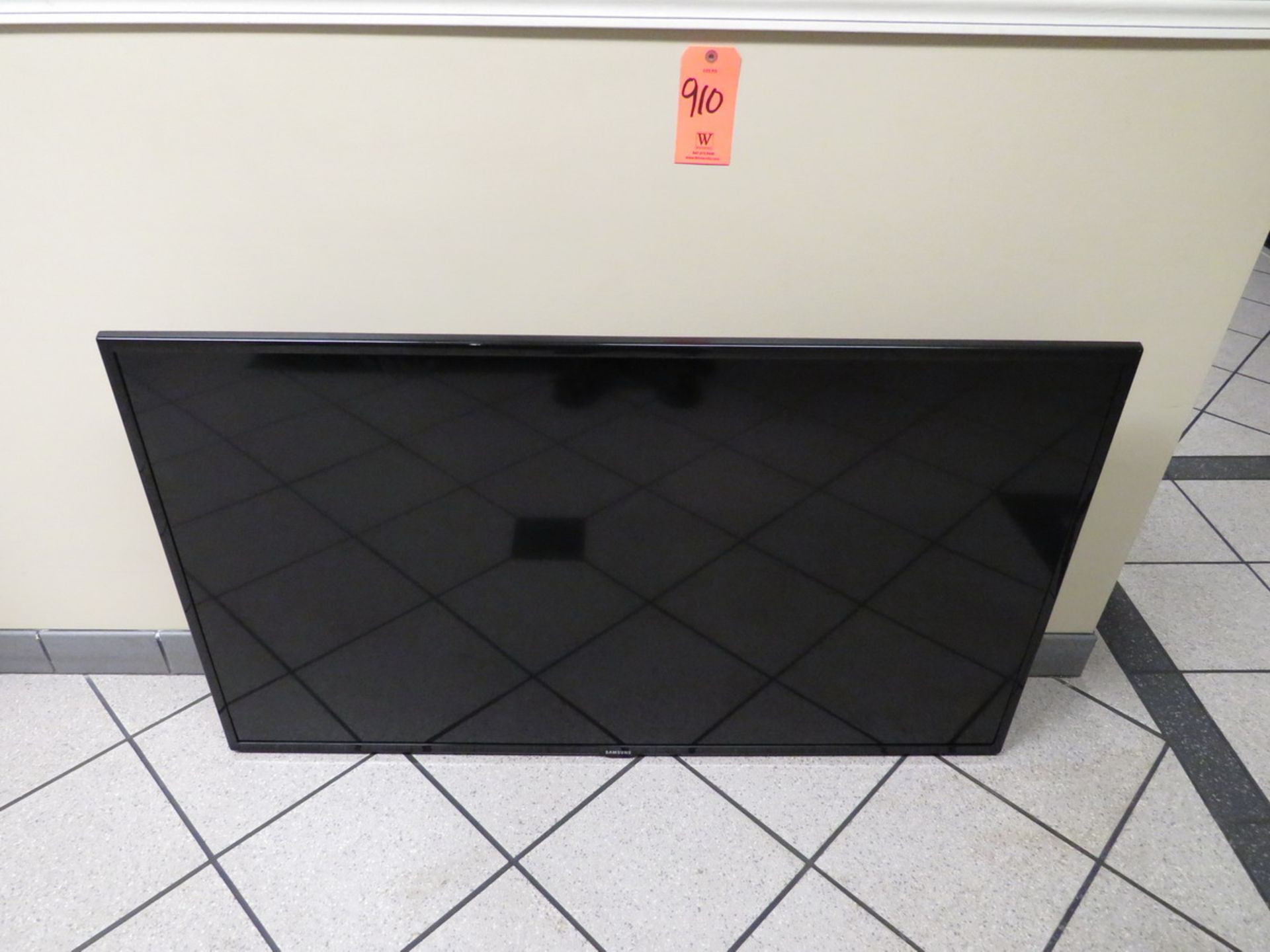 Samsung 55" Flatscreen TV (Plant #1)