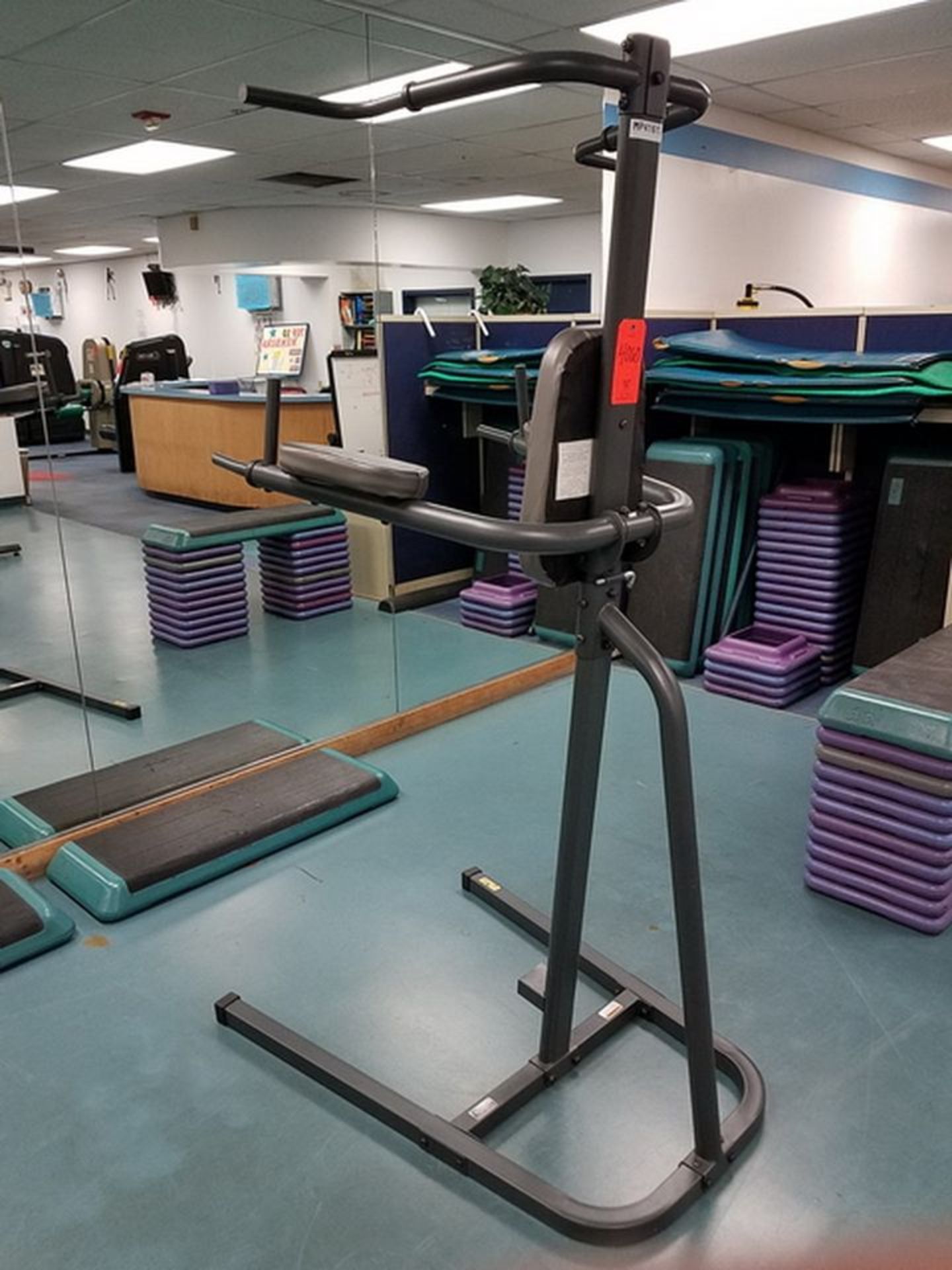 Apex Fitness Stand. A# 41613 Loc: Basement Fitness Room. (Bsmt Fitness Room)