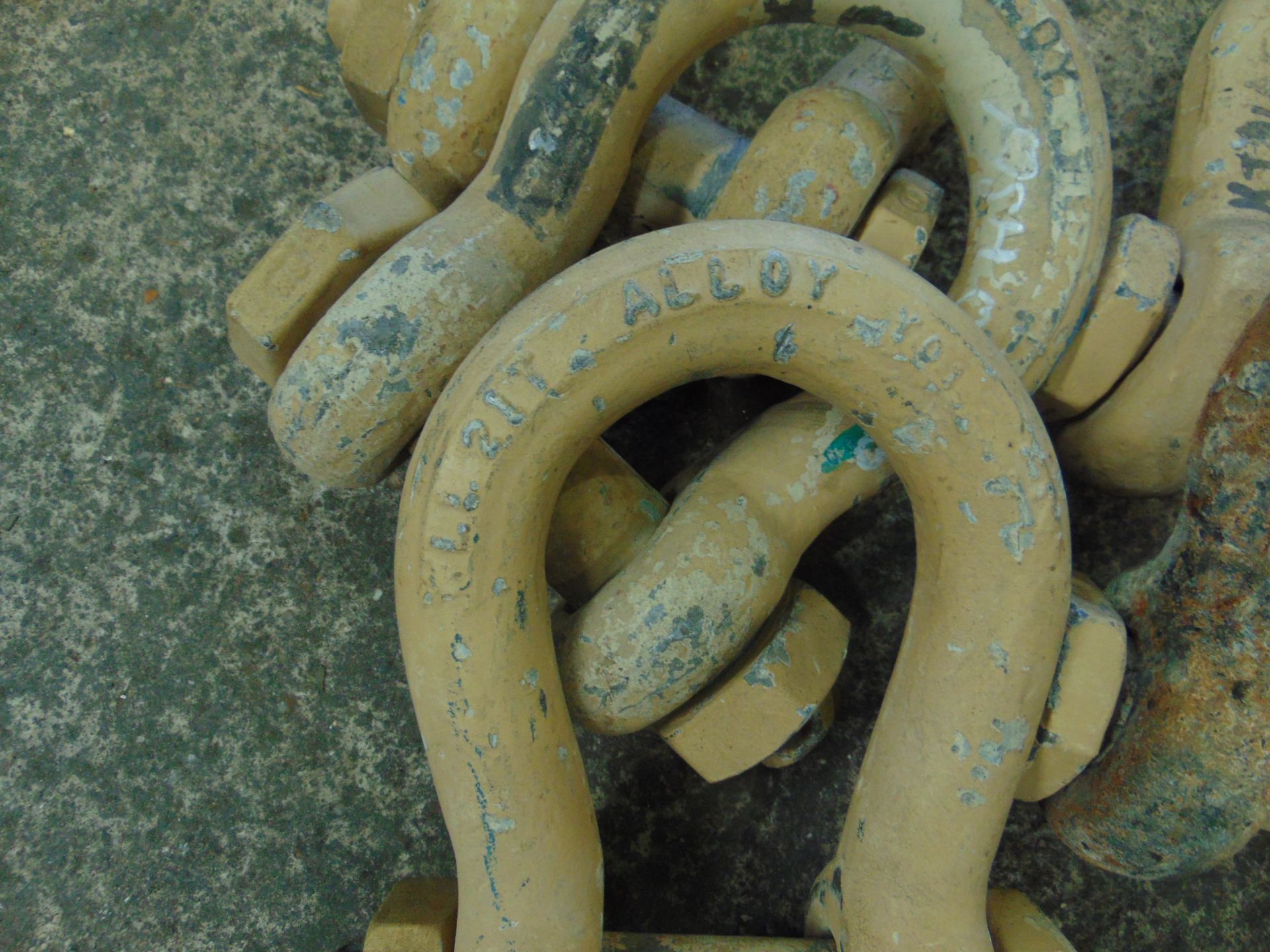 5 x 21T BOW SHACKLES - Image 2 of 3