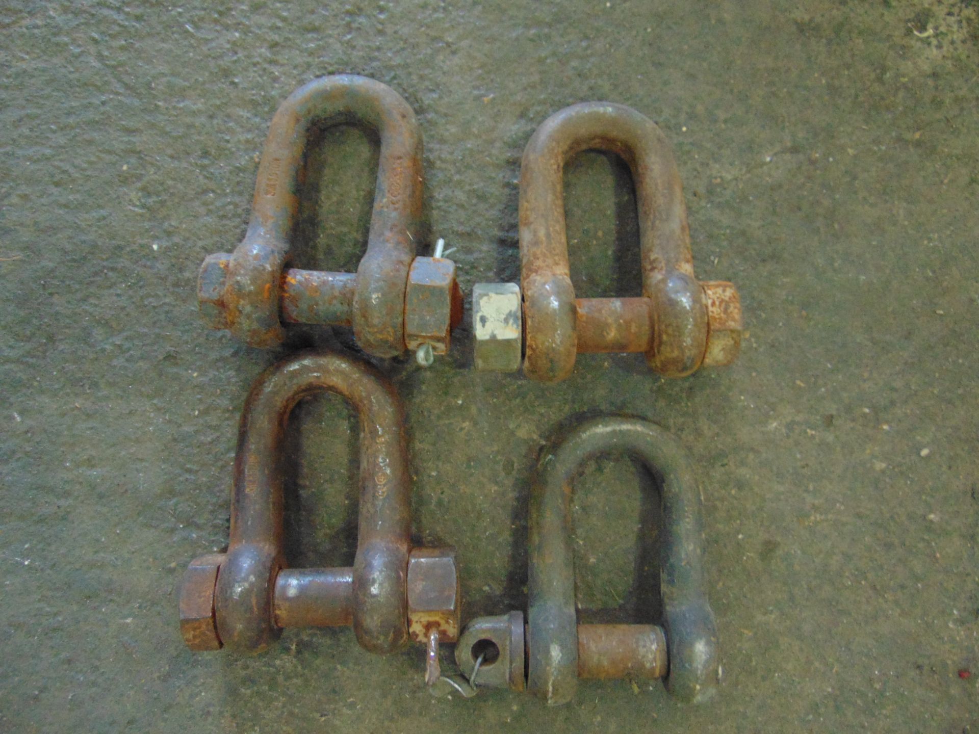 3 x 5.5T & 1 x 7.5T D Shackles - Image 2 of 2