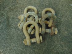 5 x 21T BOW SHACKLES